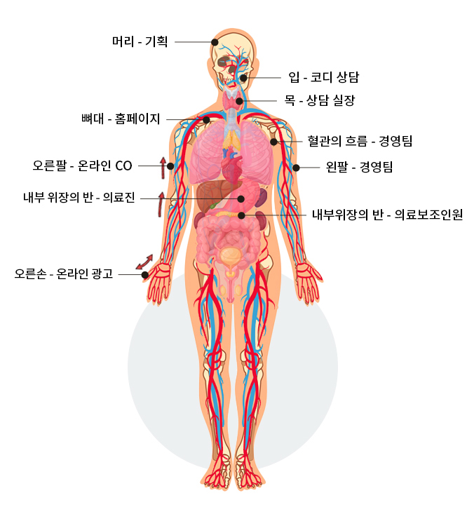 병원 매출 구조를 인체에 비유한 이미지